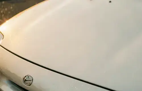 パール塗装の車